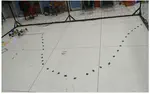 Reinforcement Learning-based Hierarchical Control for Path Following of a Salamander-like Robot