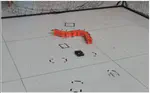 Any Curve Path Following of Snake-like Robots