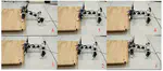 A Novel Locomotion Controller Based on Coordination Between Leg and Spine for a Quadruped Salamander-Like Robot