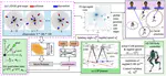 EmoBipedNav: Emotion-aware Social Navigation for Bipedal Robots with Deep Reinforcement Learning